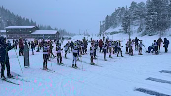 Skjelstadmarkstafetten 2024